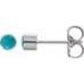 14k Turquoise Bezel-Set Earrings at Regard Jewelry in Austin, Texas - Regard Jewelry