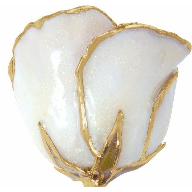 Lacquered Sparkle White Diamond Colored Rose with Gold Trim at Regard Jewelry in Austin, Texas - Regard Jewelry