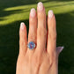 Platinum No Heat Sapphire and Diamond Ballerina Ring at Regard Jewelry in Austin, Texas - Regard Jewelry