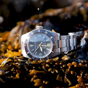 Seaholm Offshore Dive Watch at Regard Jewelry in Austin, Texas - Regard Jewelry